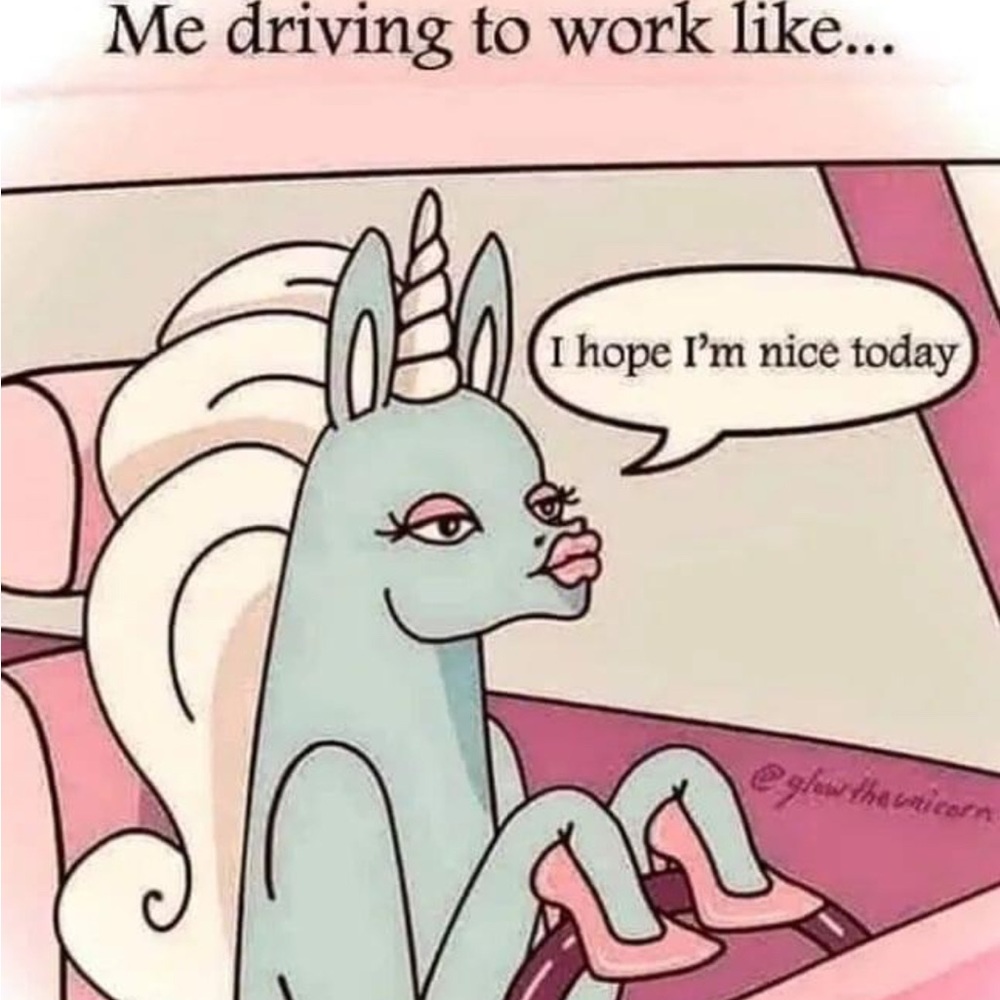 Hi 🐾 ⭐️ 🥂 🐾 💥 - Picture 6 of 6